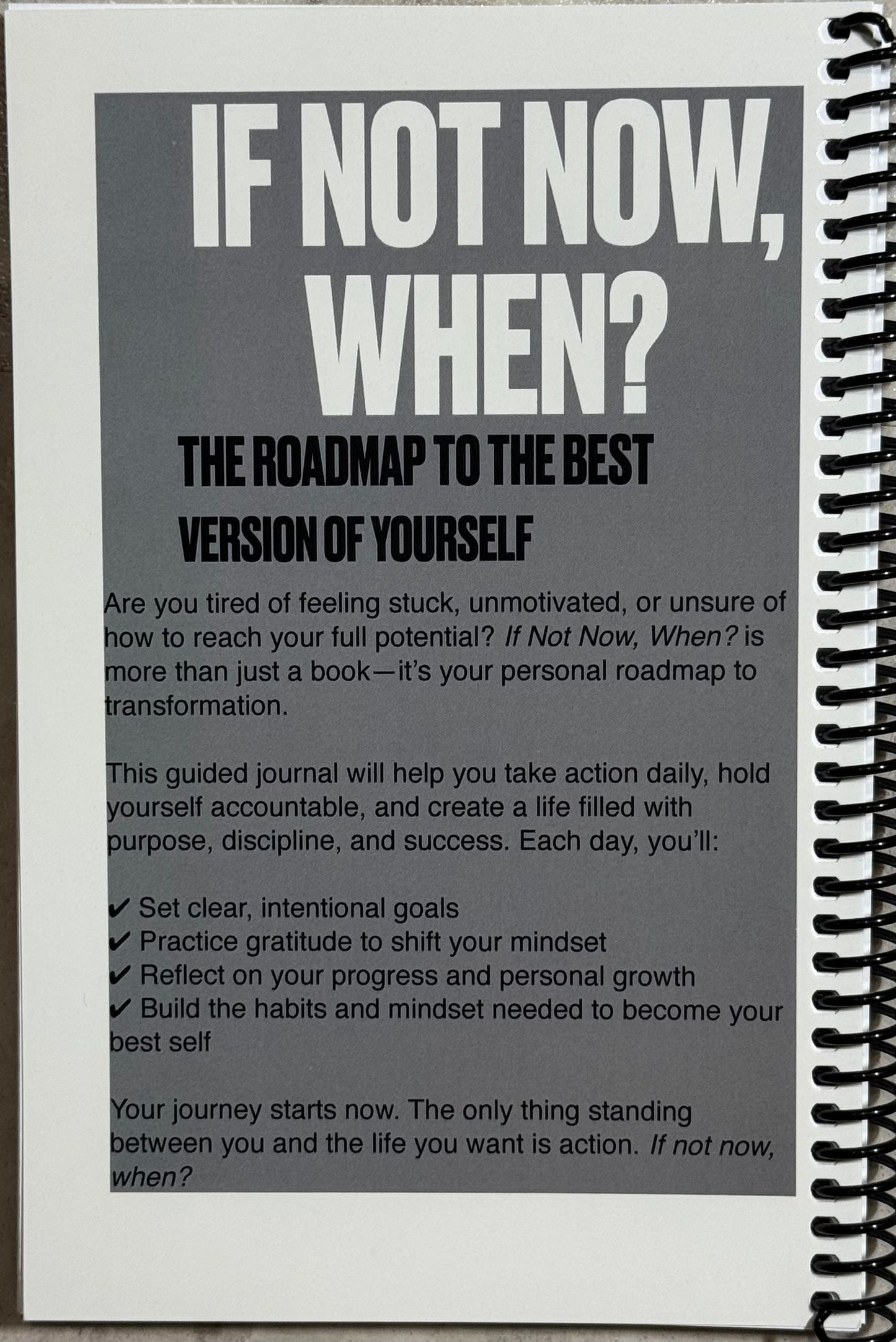 If Not Now, When? Daily Journal